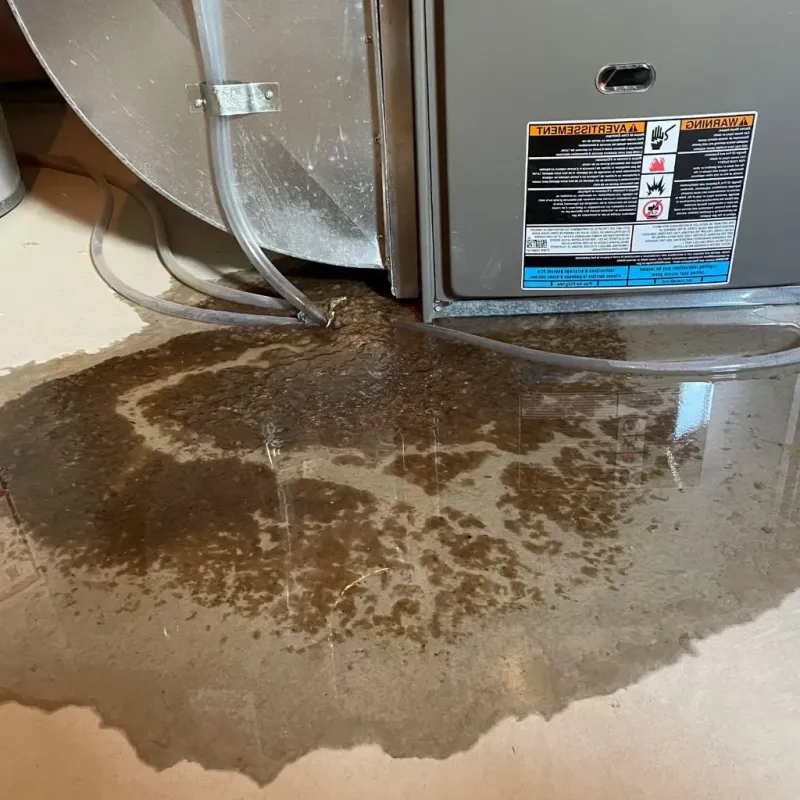 Pipe Burst and Leak Restoration in Rye, NH